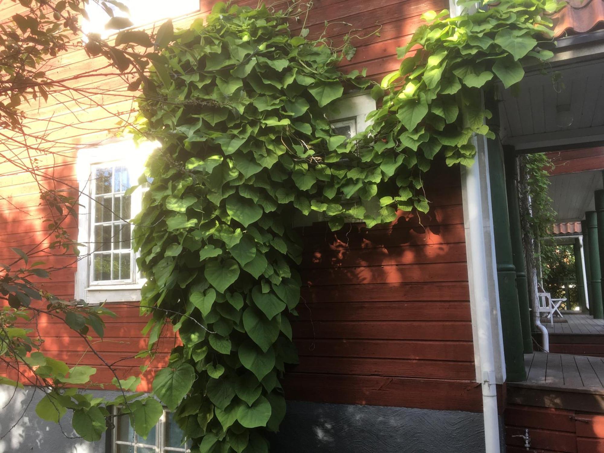 Stockholm B&B Cottage Nacka Quarto foto